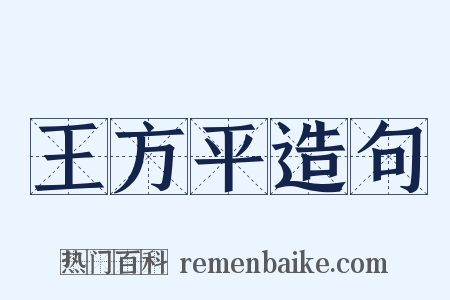 王方平造句是什么意思的图片